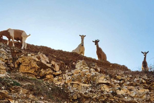 Peshtura Waterfall in Albania