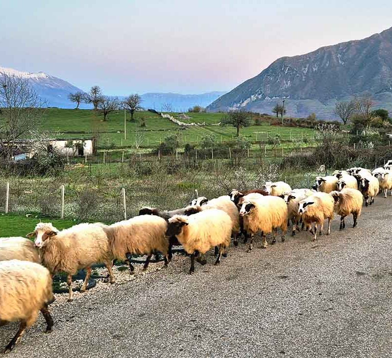 Peshtura Waterfall in Albania