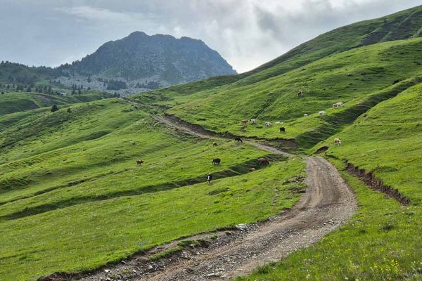 4x4 off-road expedition and camping in Albania