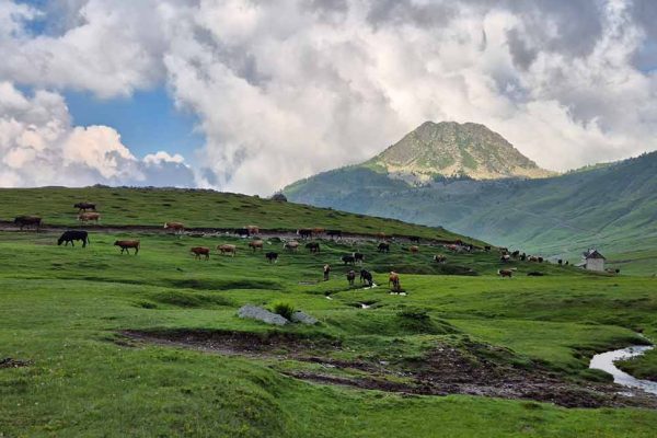 4x4 off-road expedition and camping in Albania